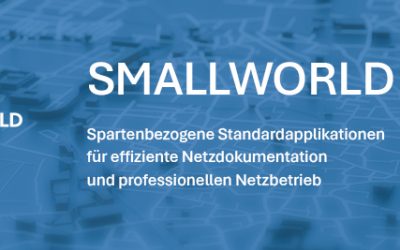Smallworld NRM 6.0